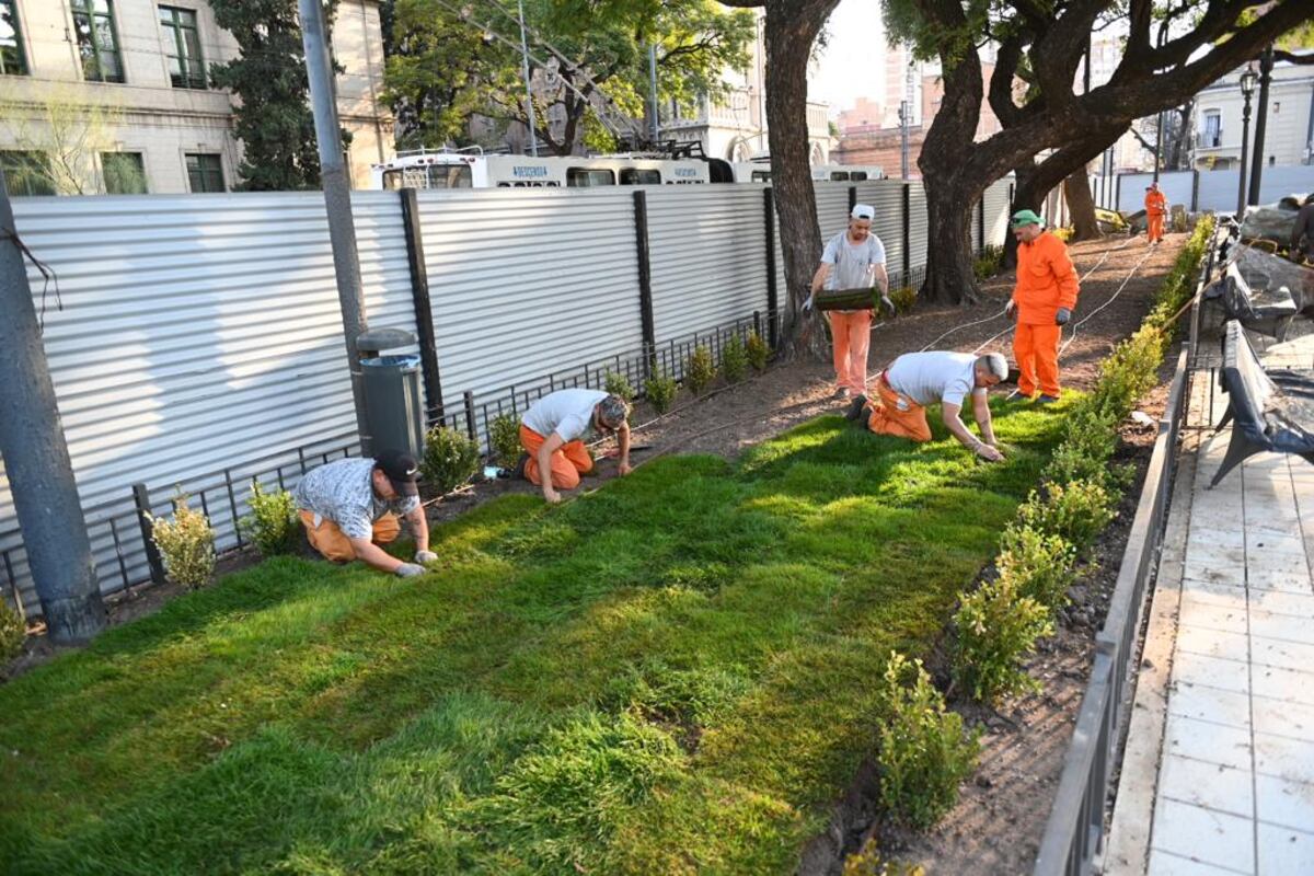 Así avanzan los trabajos de remodelación de la Plaza Colón. La Municipalidad dio a conocer nuevas imágenes de este martes y la colocación de unos 40 árboles de gran porte. (Municipalidad de Córdoba)