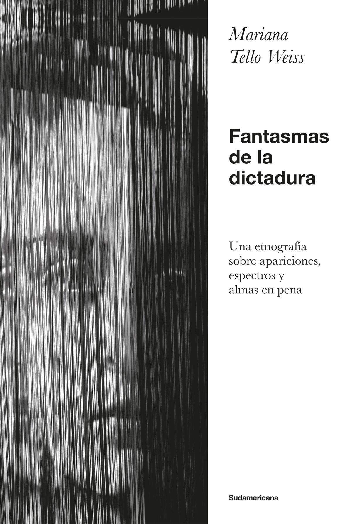"Fantasmas de la dictadura", de Mariana Tellos Wies