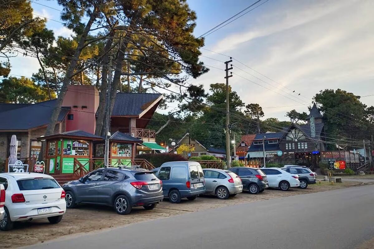 Cuál es la playa del “millón de pinos” que queda a solo cuatro horas de Buenos Aires