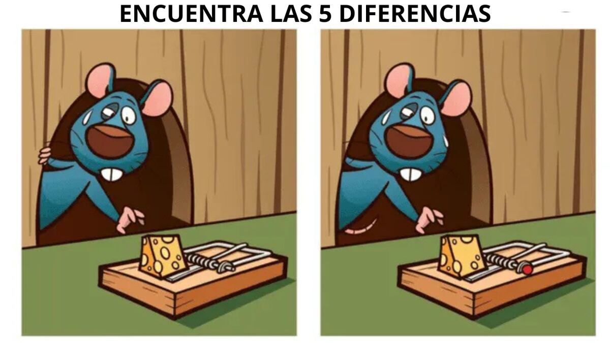 El acertijo visual.