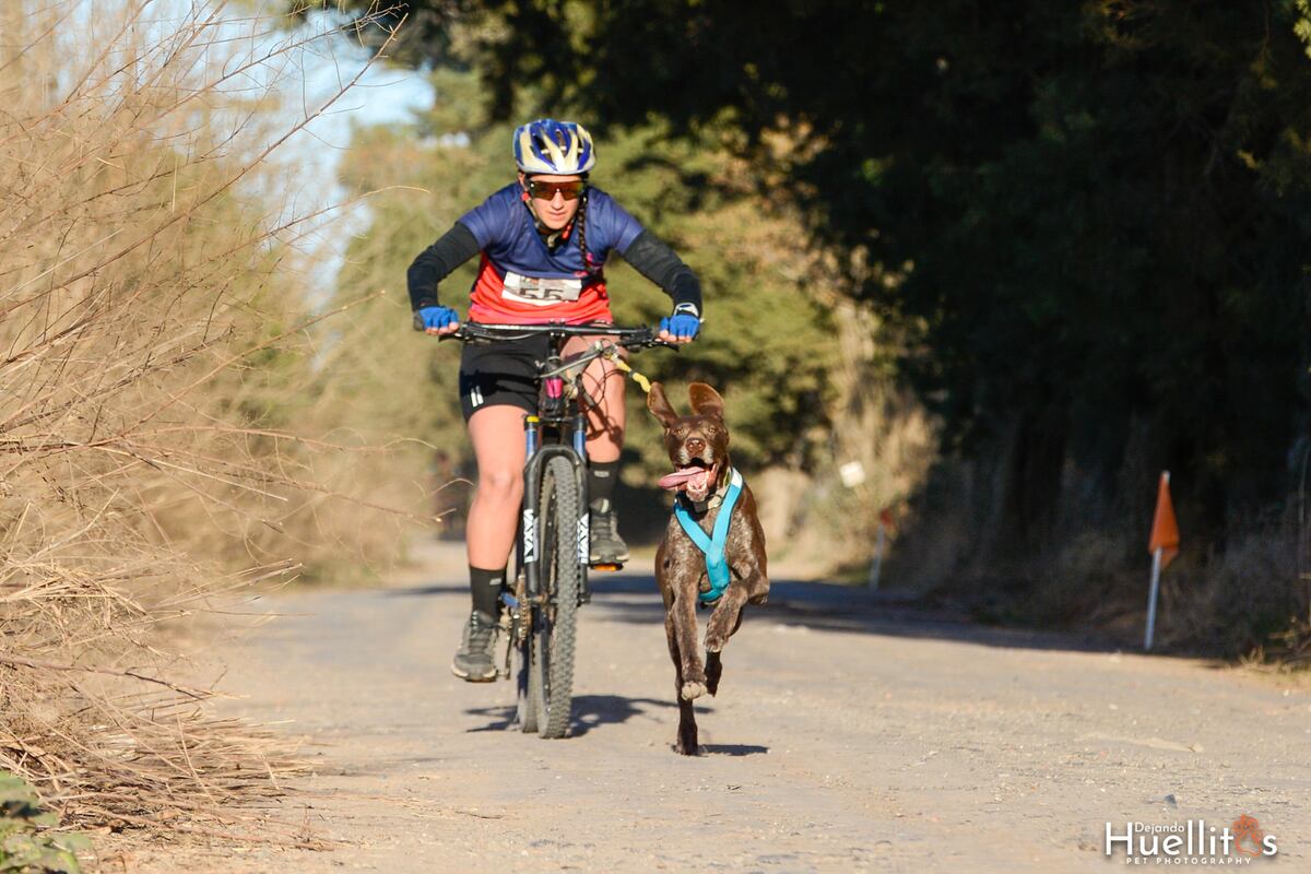María Araoz ganó en la categoría "bikejoring" basada en un ciclista montado sobre una bicicleta tirada por un perro. (Gentileza Diego Sánchez)