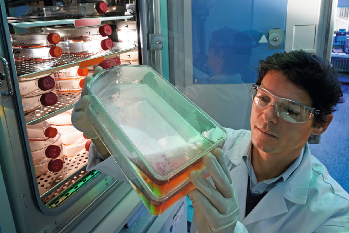 Bayer está liderando la revolución en el tratamiento con la oncología de precisión. (Foto: Bayer)