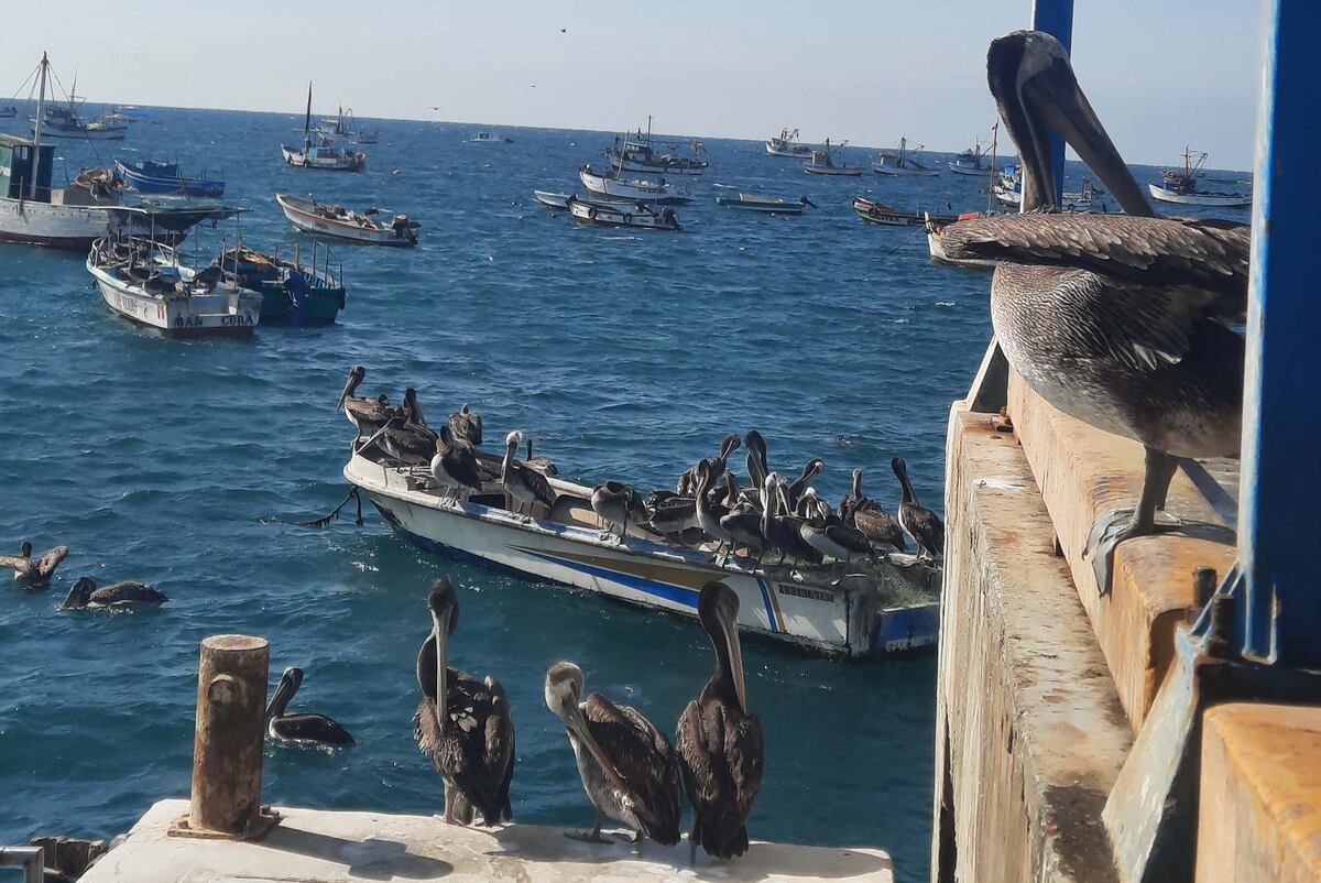 Máncora, un paraíso peruano. (Foto: Marina Perassi)