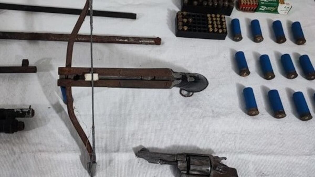 Armamento en La Plata. (Gentileza)
