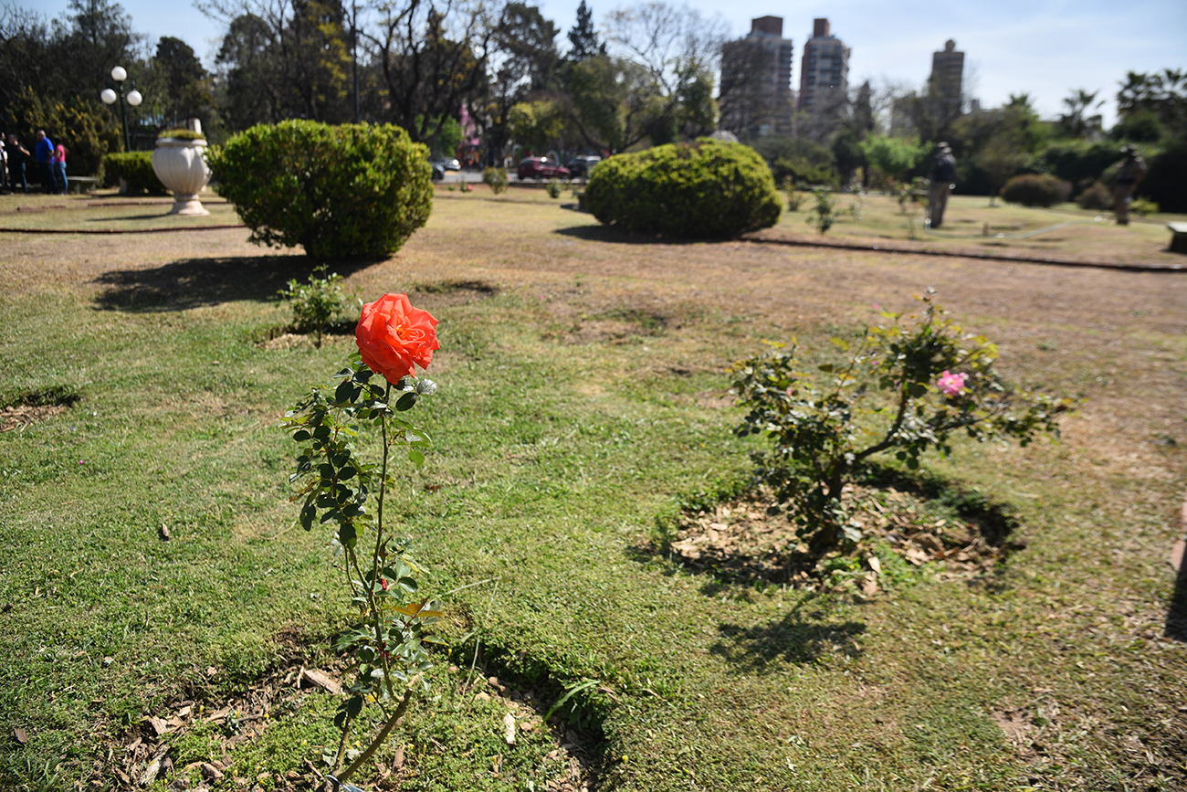 Recorrido por el Rosedal del Parque Sarmiento previo a su reapertura.
(Pedro Castillo / La Voz)