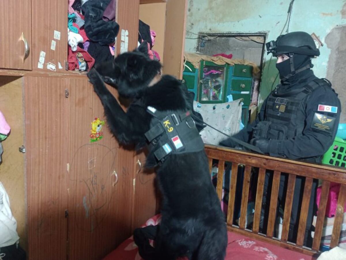 Cayó una banda narco que operaba en Traslasierra. (MPF)