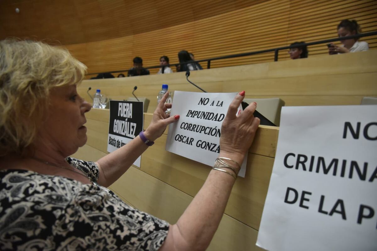 La asesora y exlegisladora Liliana Olivero pidió la expulsión de González.