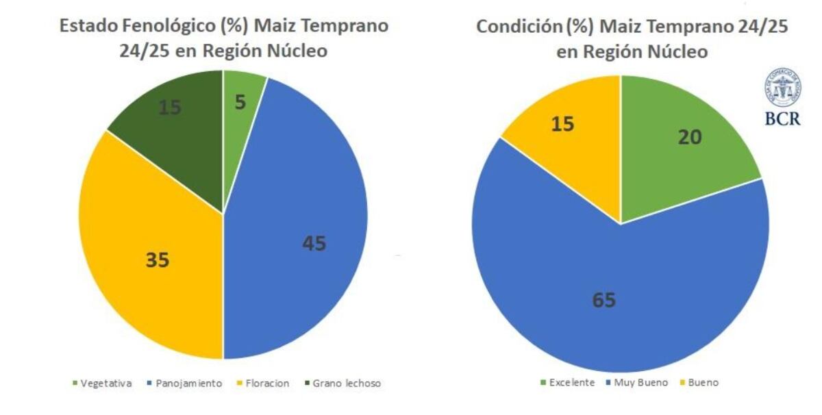 maíz