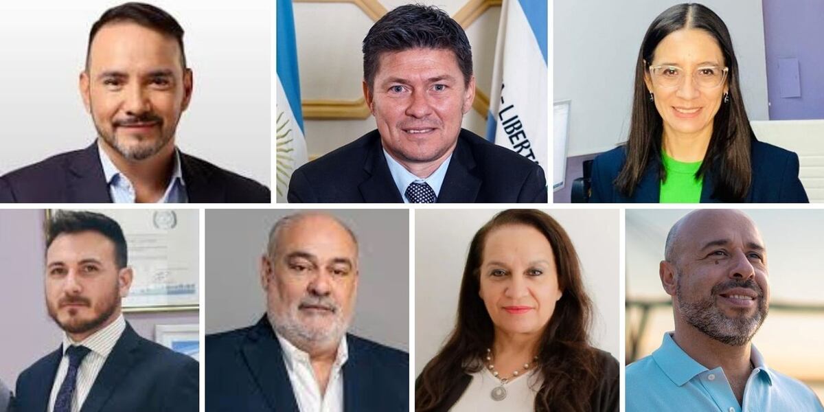 Los sietes candidatos a gobernador en Corrientes. (Clarín)