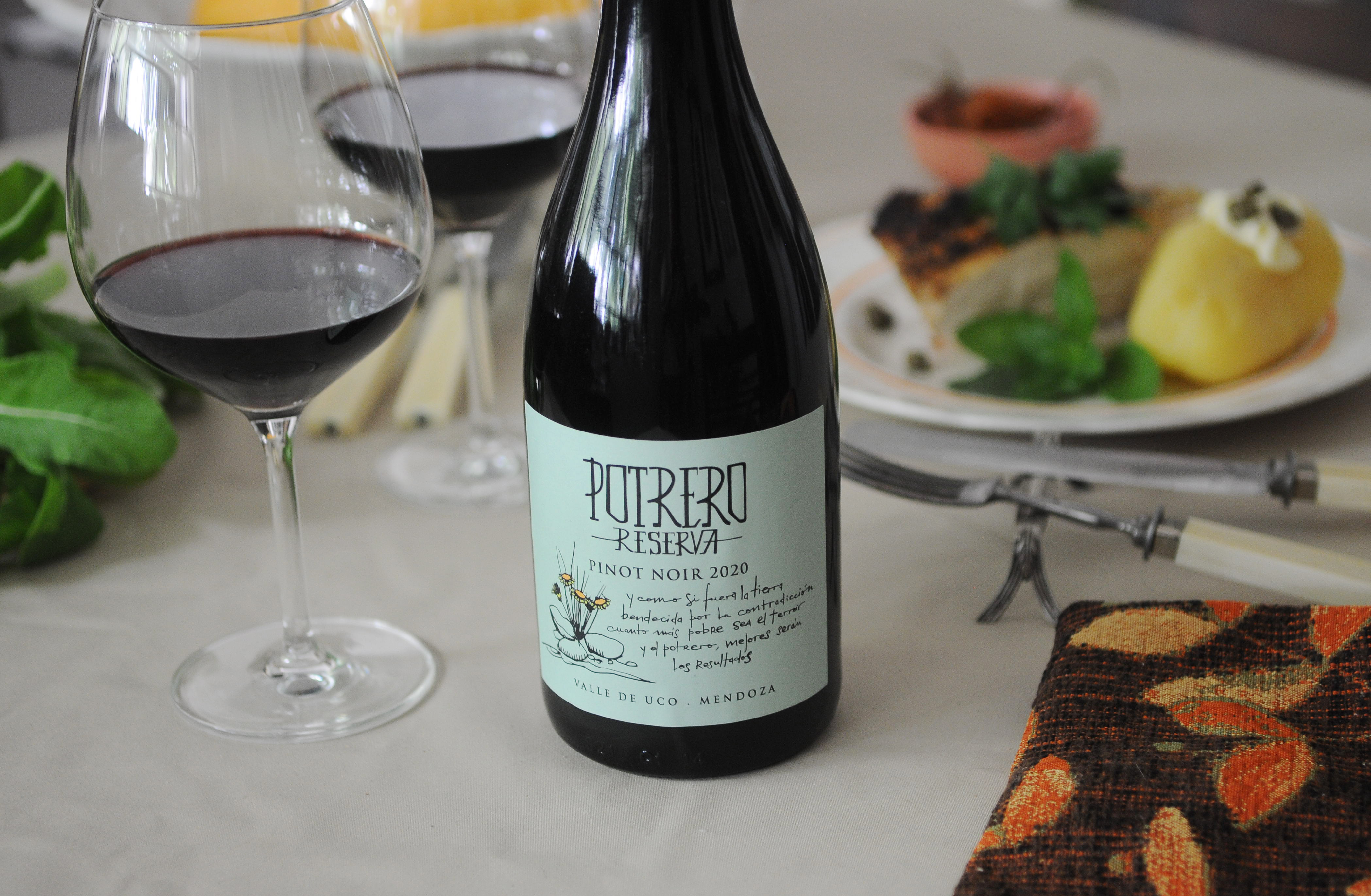 Lanzamientos recomendados en el mundo del vino en lo que va de este año. (Fotos: Javier Ferreyra).