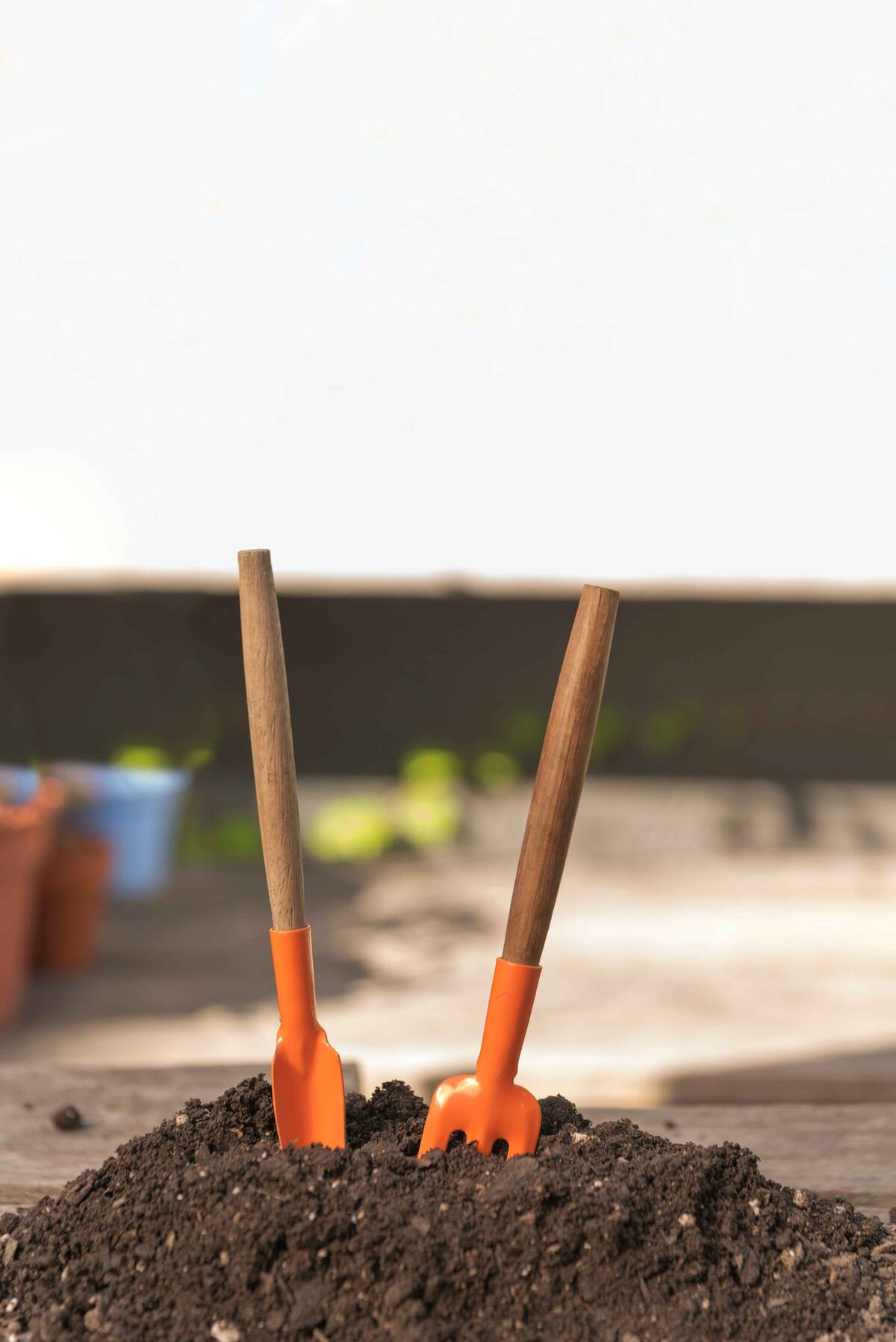 Por qué algunos jardineros clavan tenedores de plástico en la huerta o las macetas y por qué no funciona. (Freepik)