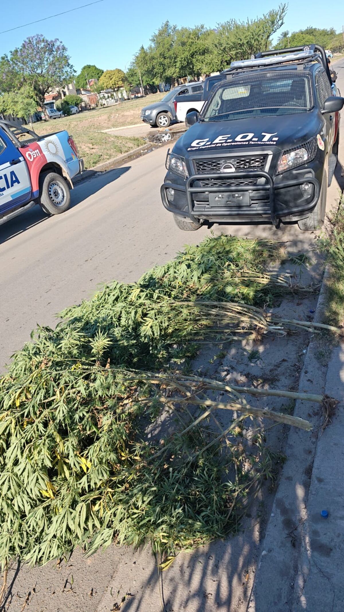 Secuestro de drogas. (Policía)