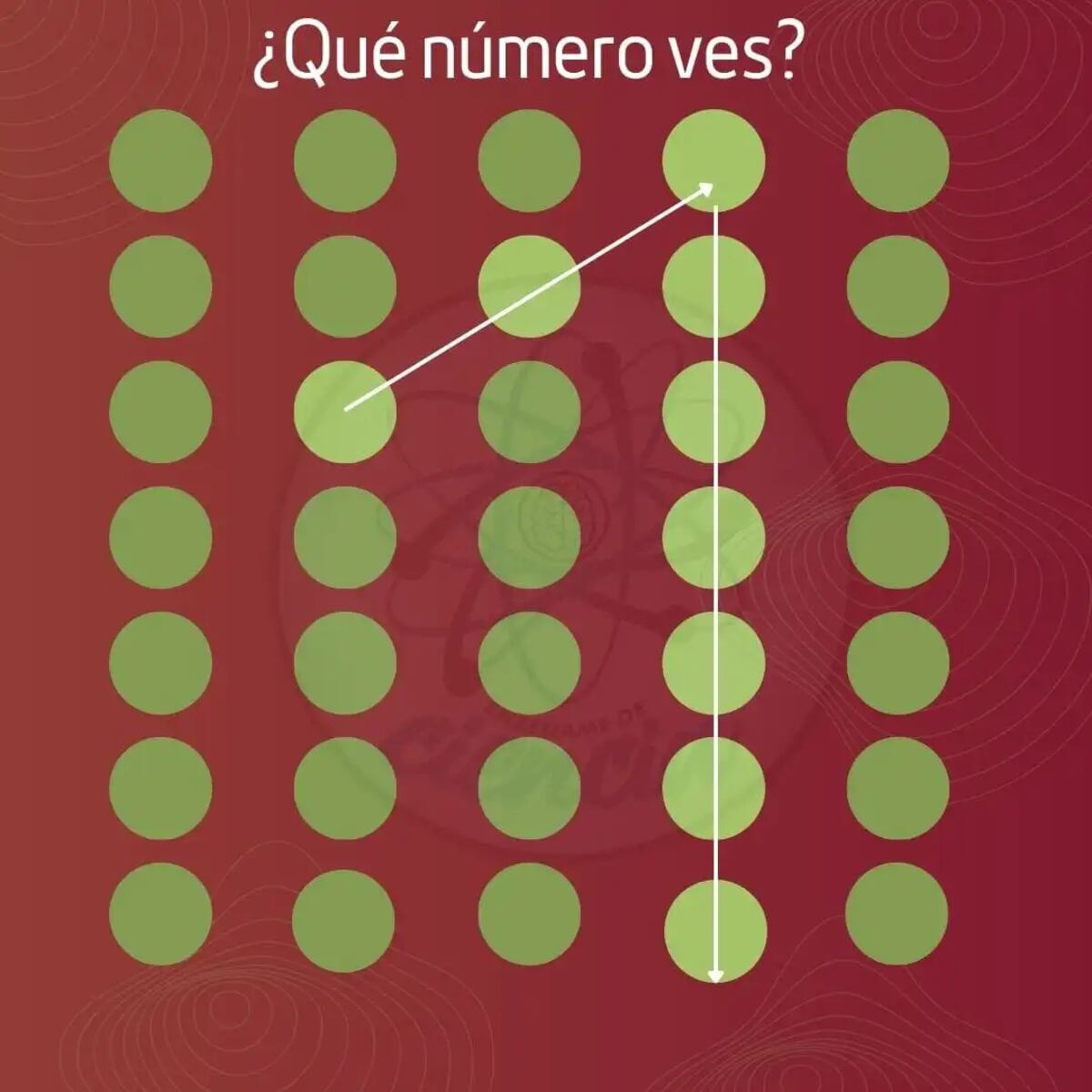 El acertijo visual.