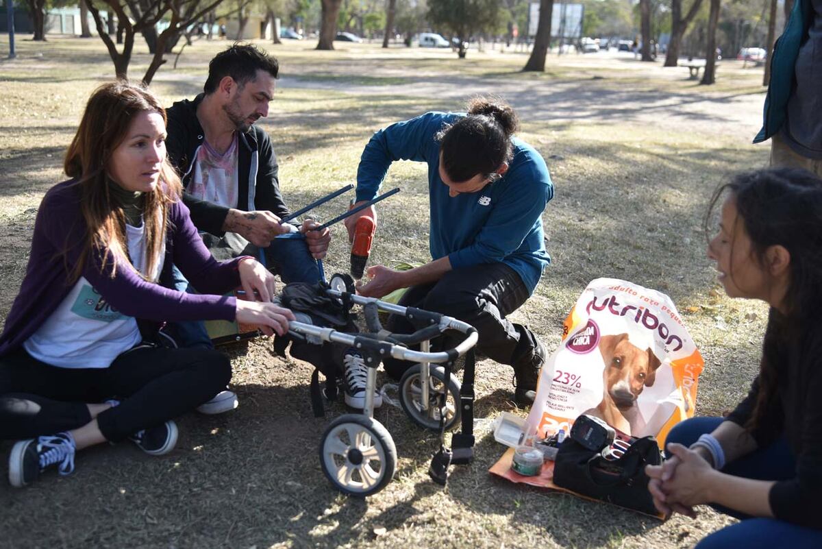 De Discas puede participar cualquier persona con ganas de colaborar. Si son menores de edad se necesita una autorización de los padres. (Facundo Luque / La Voz)