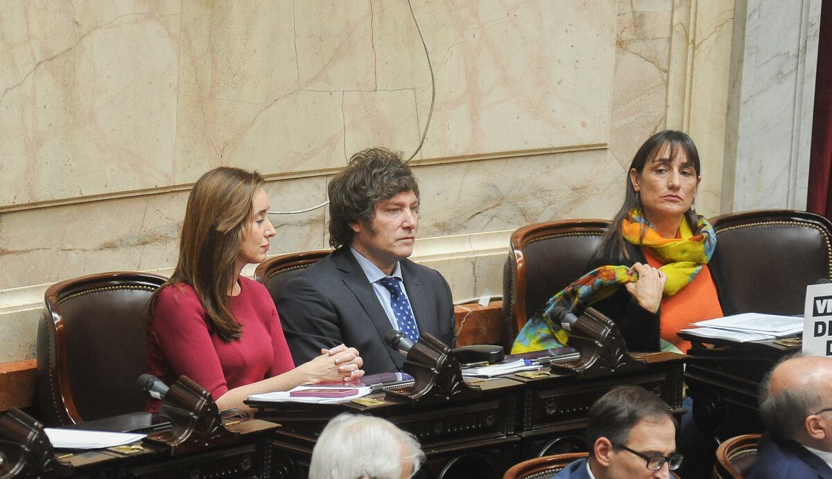 Javier MileiVictoria VillarruelRomina Del PlaDiputadosFoto Federico Lopez Claro