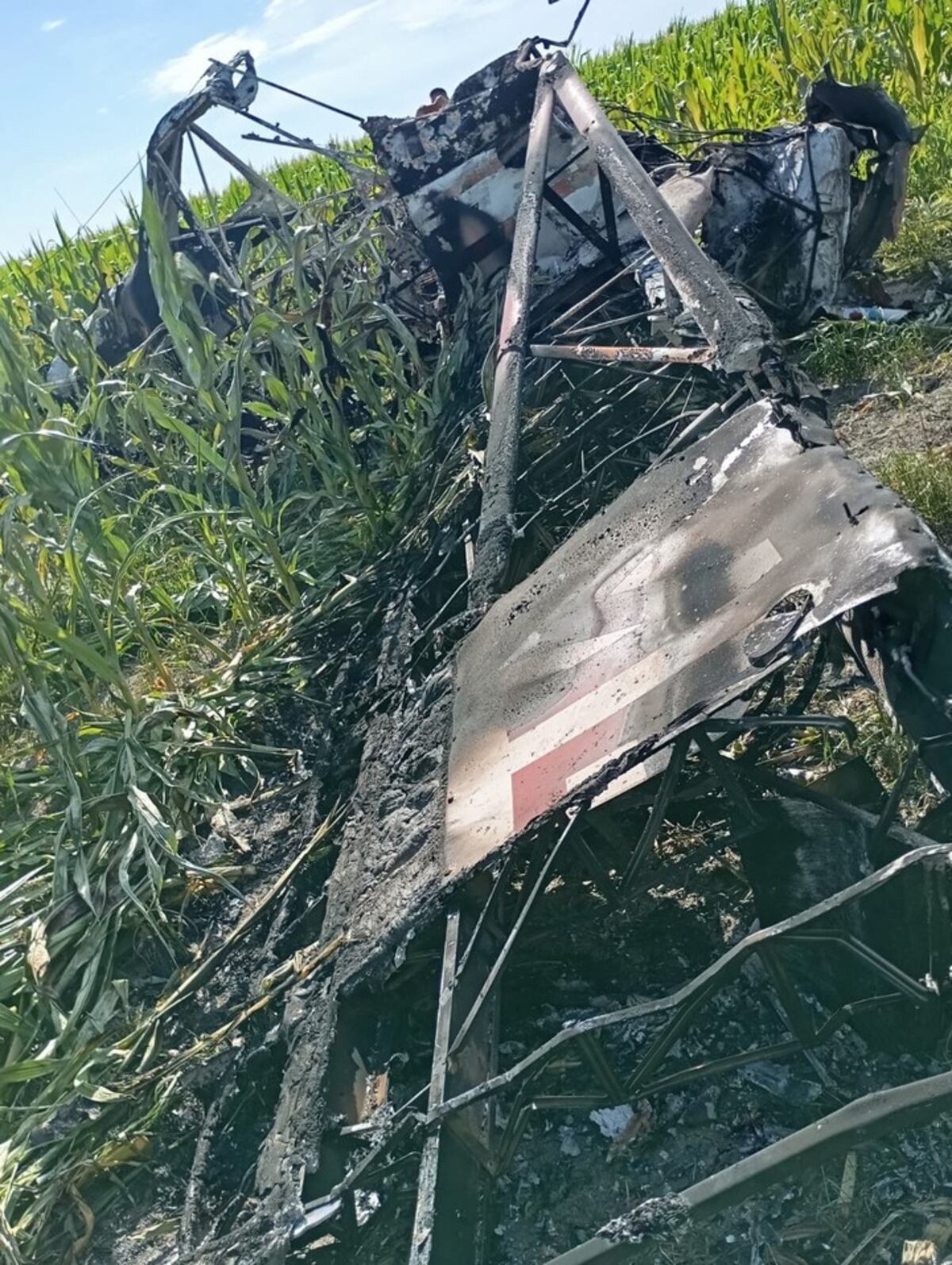 Entre Ríos: un piloto sobrevivió tras la caída de una avioneta fumigadora (Foto: Policía de Entre Ríos)