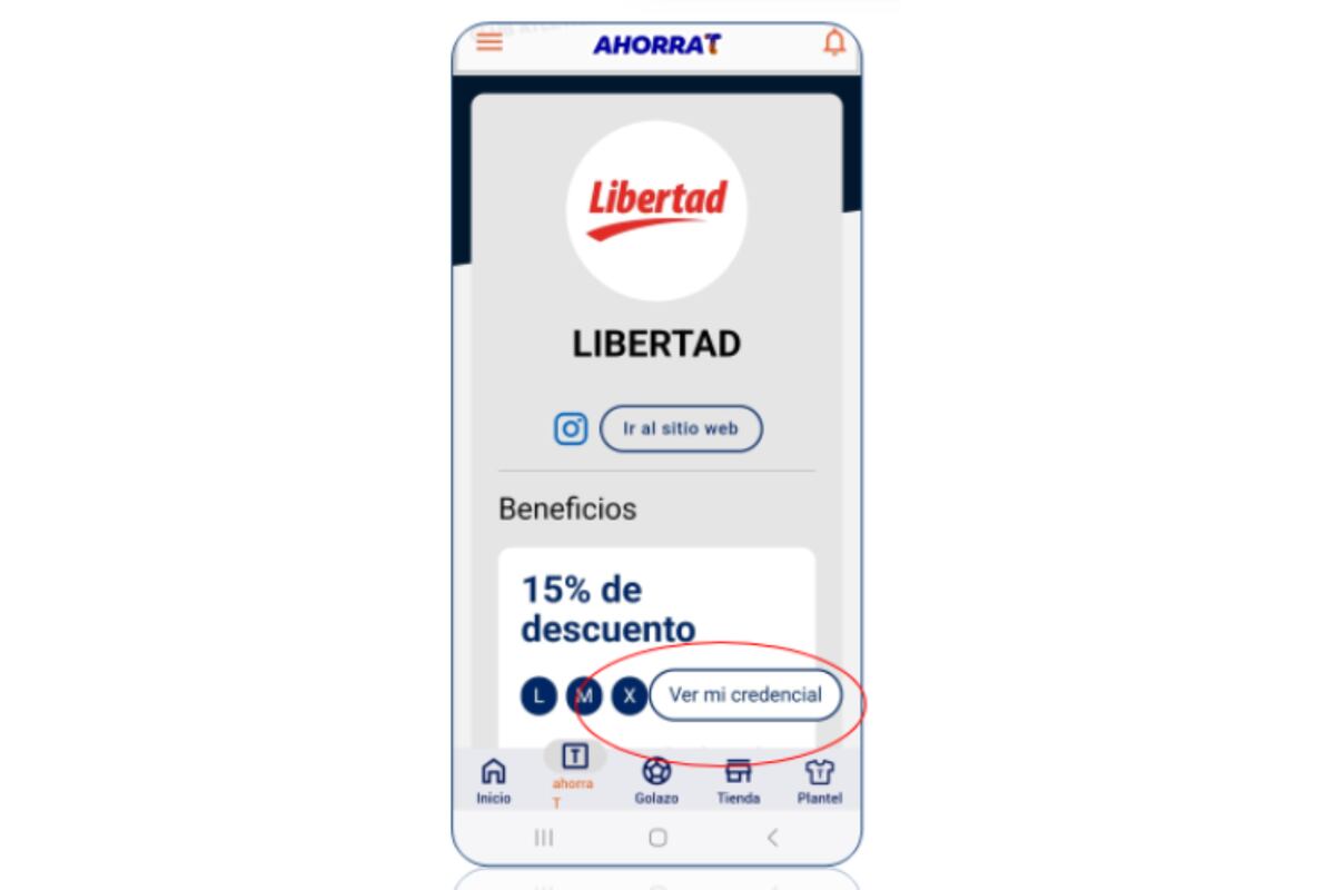 Para conocer el beneficio consultar la planilla de cada comercio. Luego hacer clic en "ver mi credencial" para presentar en el comercio.