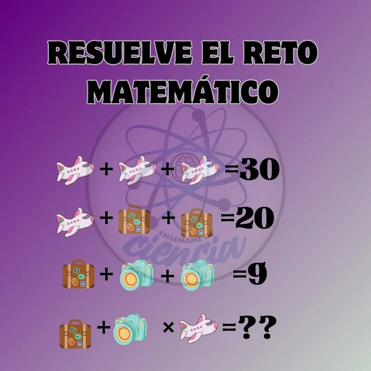 El acertijo visual.