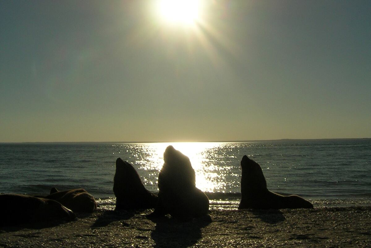 Distintas opciones de playas, que hacen la diferencia: San Antonio Este. (Foto: Daniel Santos)