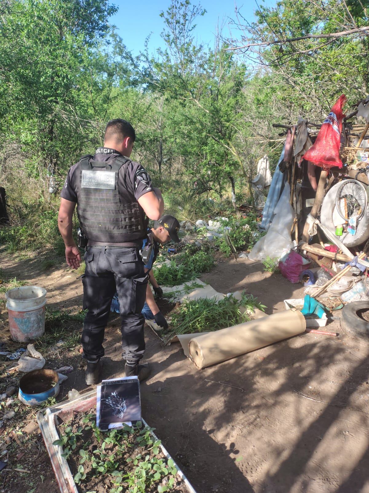 La droga secuestrada. (Policía)