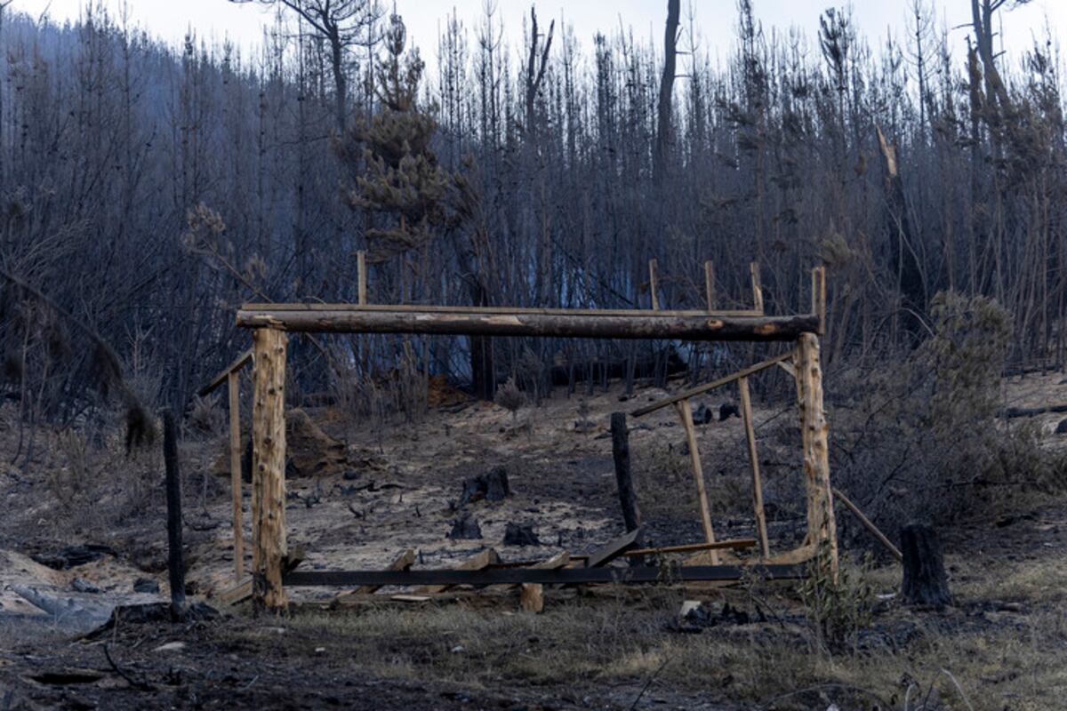 El incendio forestal de gran magnitud que afecta a Puerto Patriada provocó la destrucción de alrededor de 10 viviendas. (Gentileza Euge Neme)