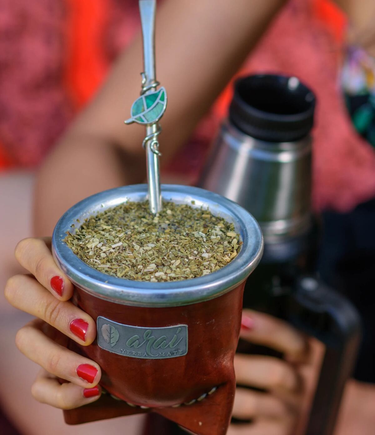 ¿El mate cuenta como agua? Esto dicen los expertos sobre su aporte a la hidratación diaria