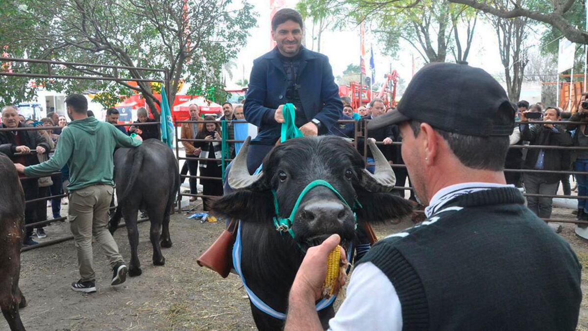 TODOLÁCTEA. El gobernador de Santa Fe, Maximiliano Pullaro, encabezó la apertura de la edición 2025 de Todoláctea, la muestra del sector que se realiza en Esperanza, Santa Fe (Gentileza Todo Agro)