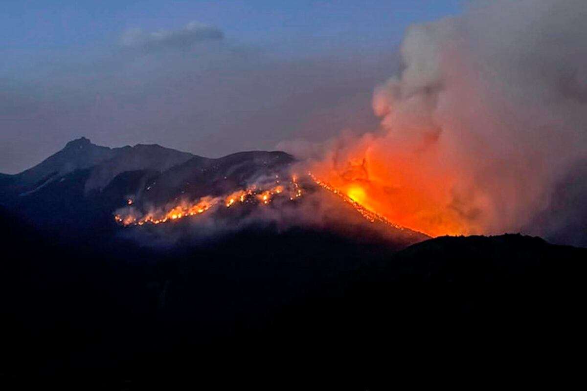 El designado subsecretario de Ambiente admite fallas en la prevención de incendios