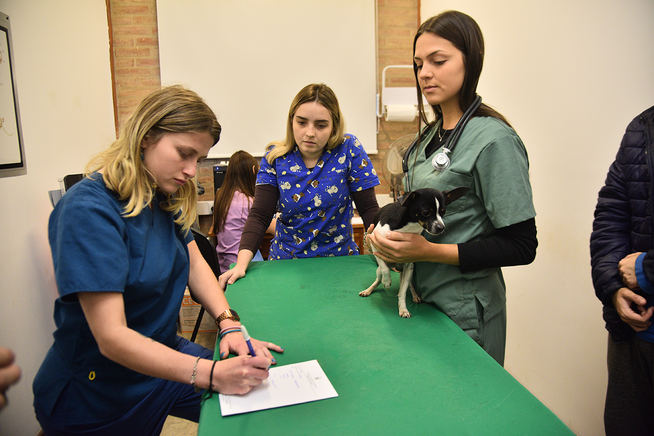 Hospital de Veterinaria de la Facultad de Ciencias Agropecuarias de la Universidad Católica de Córdoba. Ofrece un servicio a la comunidad. (Pedro Castillo / La Voz)