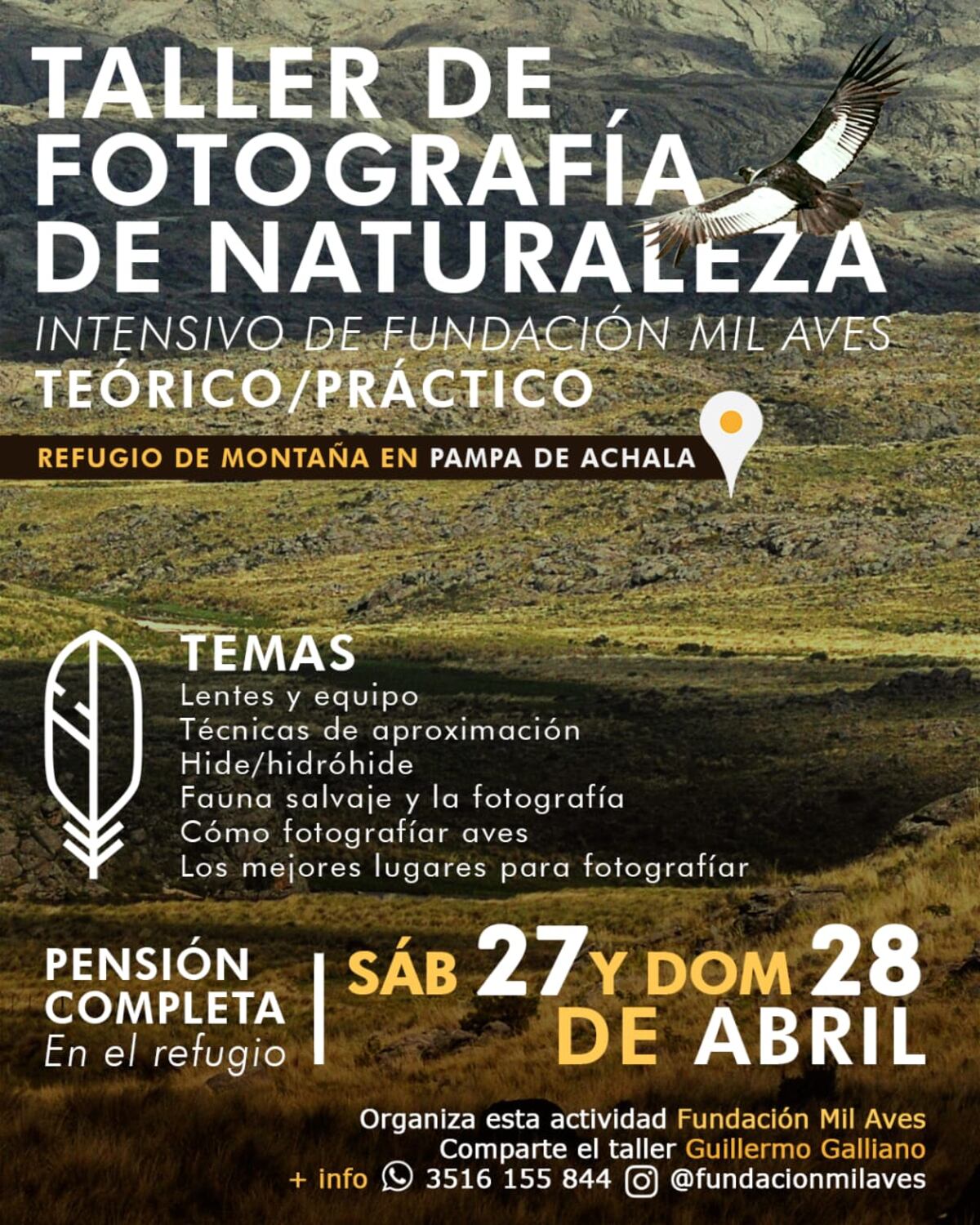 Mil Aves
