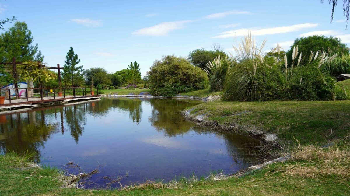 Un paseo por el Jardín Botánico de Córdoba. (Foto: Daniel Santos)