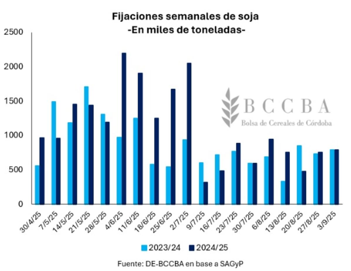 (Gentileza BCCBA)