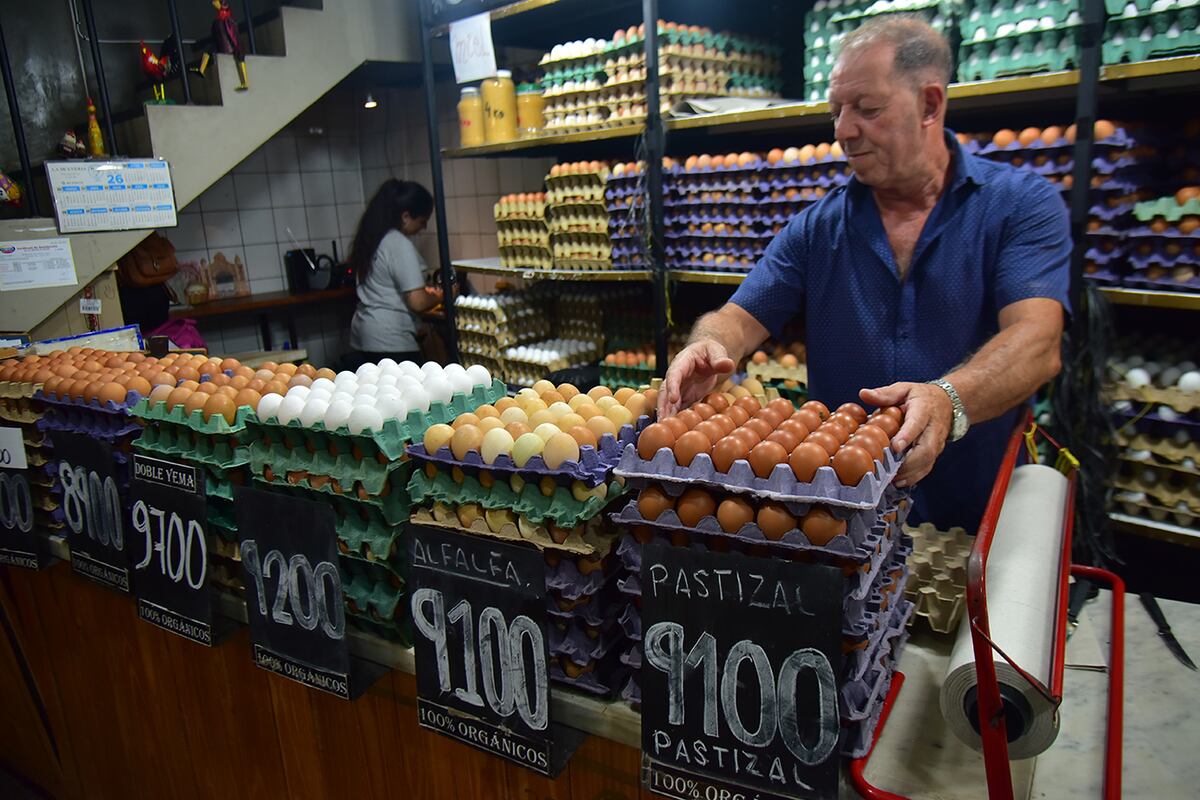 La sobreproducción de huevos empuja los precios hacia abajo y expone riesgos de venta informal