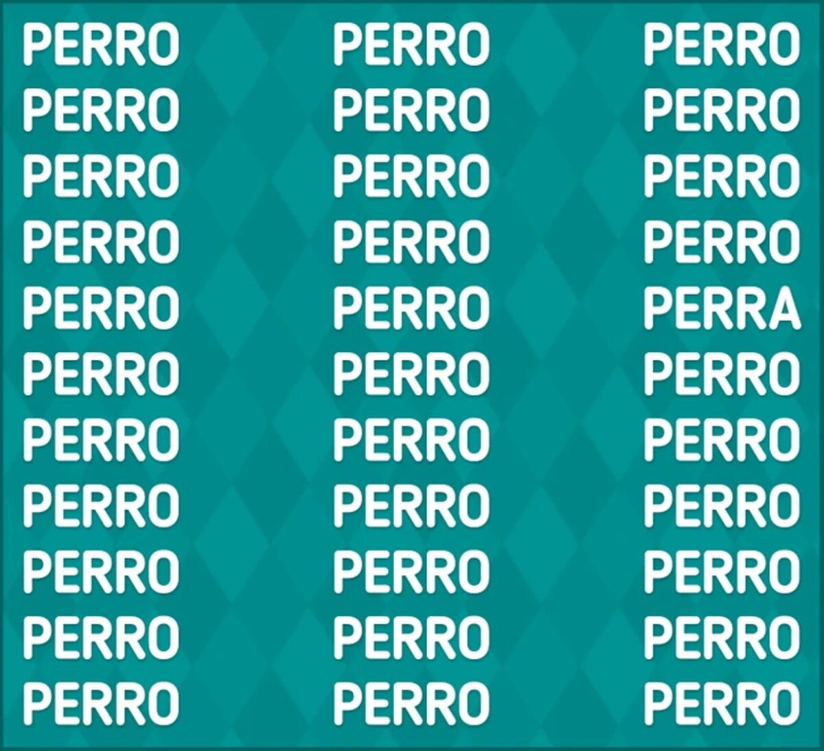 El acertijo visual.