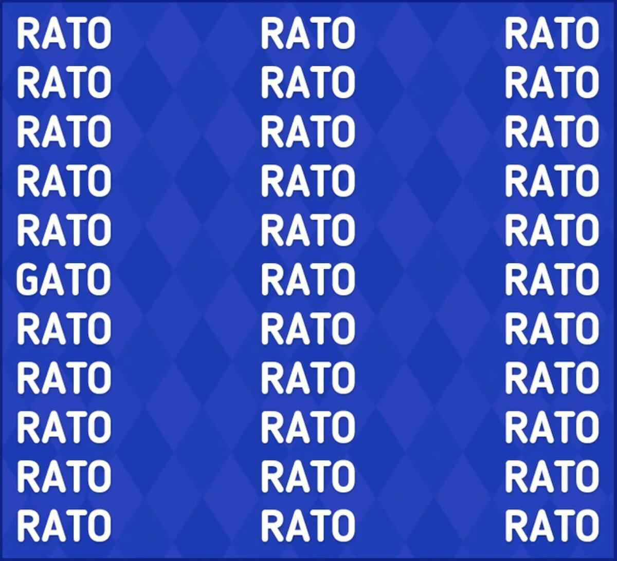 El acertijo visual.