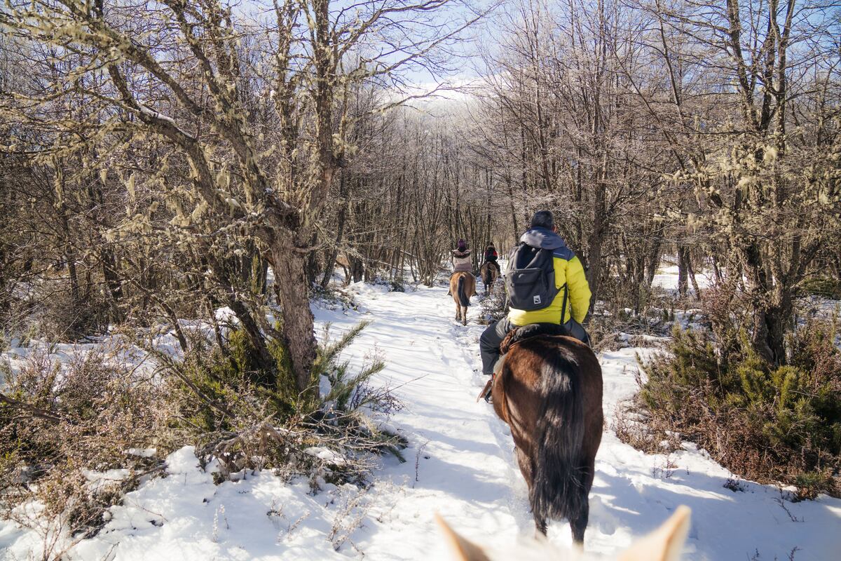 Perderse entre los bosques en cabalgatas guiadas es otra de las opciones que se ofrecen.