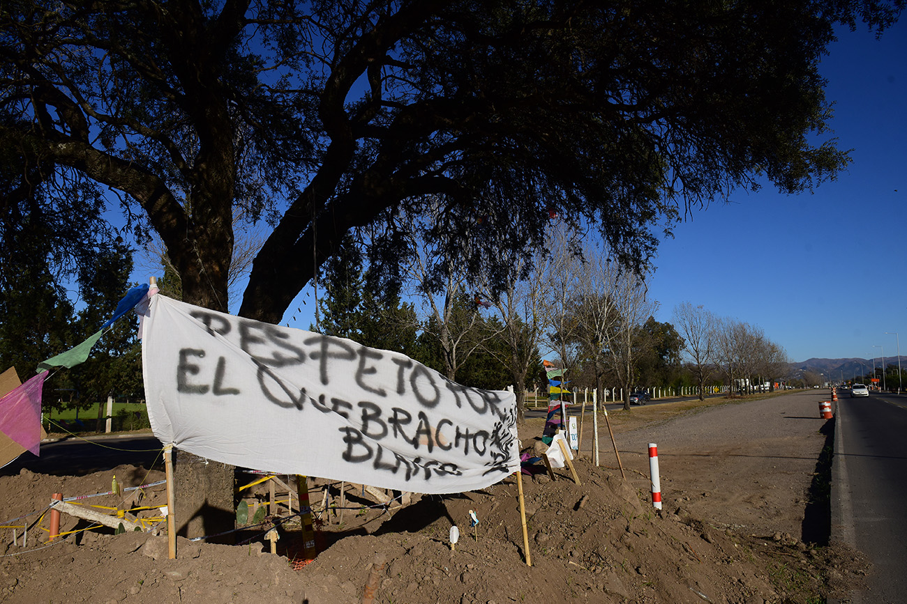 Quebracho blanco de la avenida Padre Luchesse, en Villa Allende, se encuentra en riesgo de ser removido debido a las obras de ampliación de la avenida. (José Gabriel Hernández / La Voz)