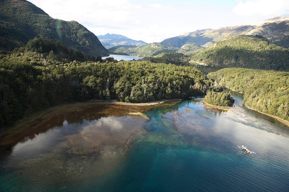 Qué son los "baños de bosque" y dónde se pueden realizar en Chile y Argentina. Parque Nacional Los Alerces (Foto: Argentina.gob.ar)