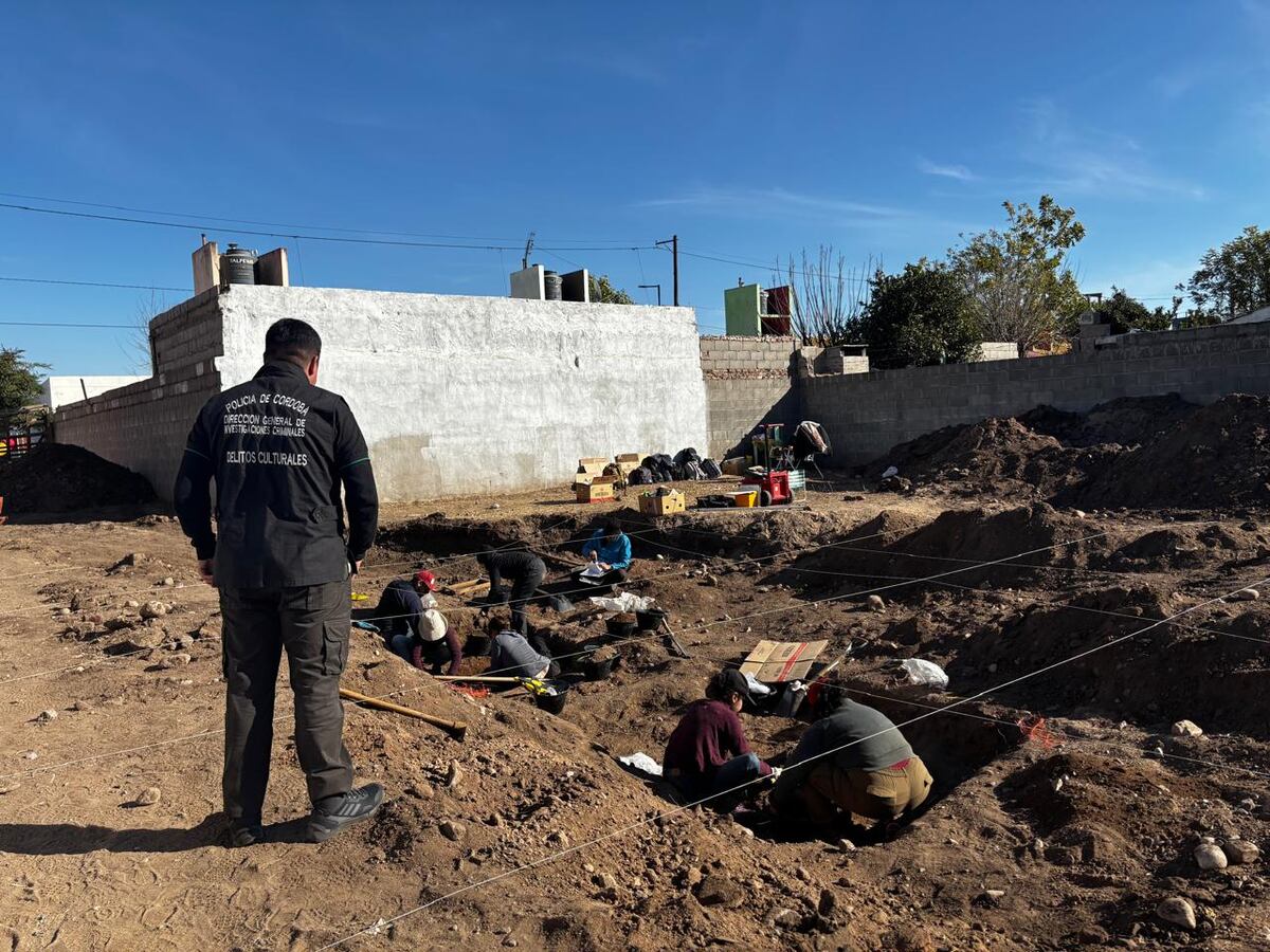El lote con los restos óseos hallados en barrio Campo de la Ribera (Foto Policía)
