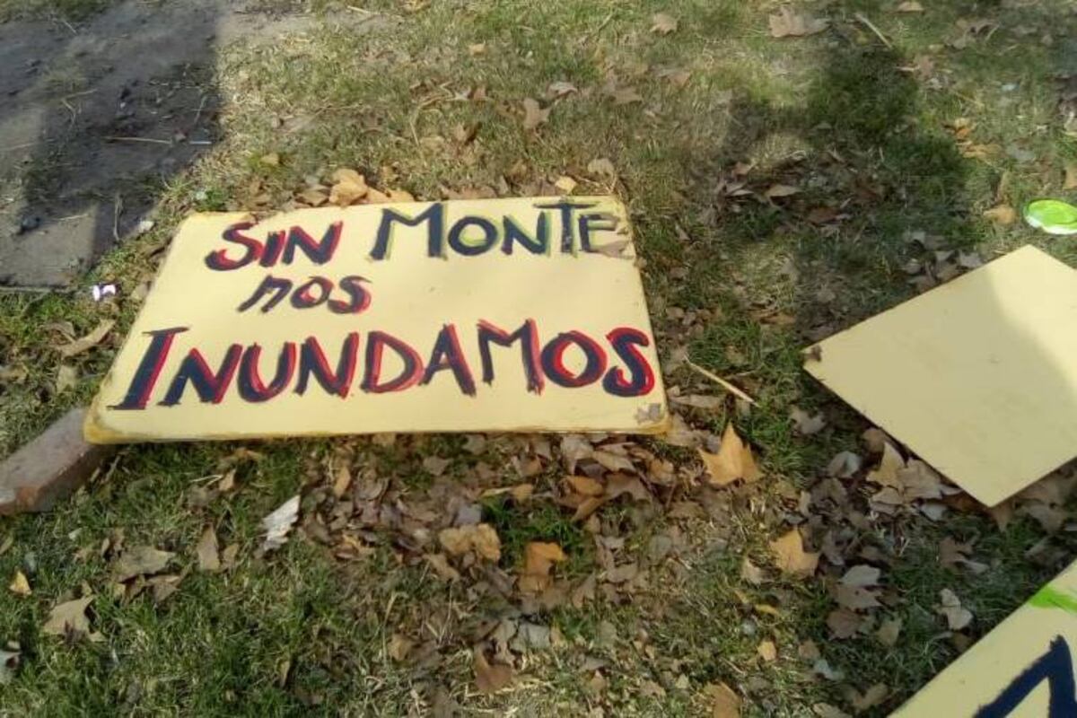 Hay lugares de la provincia donde el uso del suelo cambió de categoría luego de los incendios. (Gentileza)