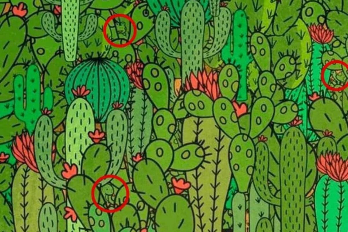 Acertijo visual - Solución
