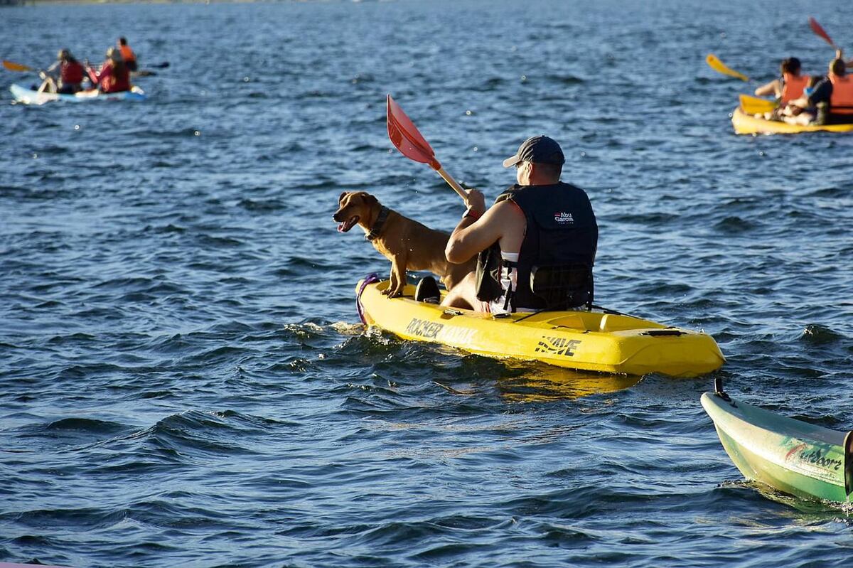 Remada nocturna de kayaks en Embalse. Edición enero 2026. (Municipalidad)