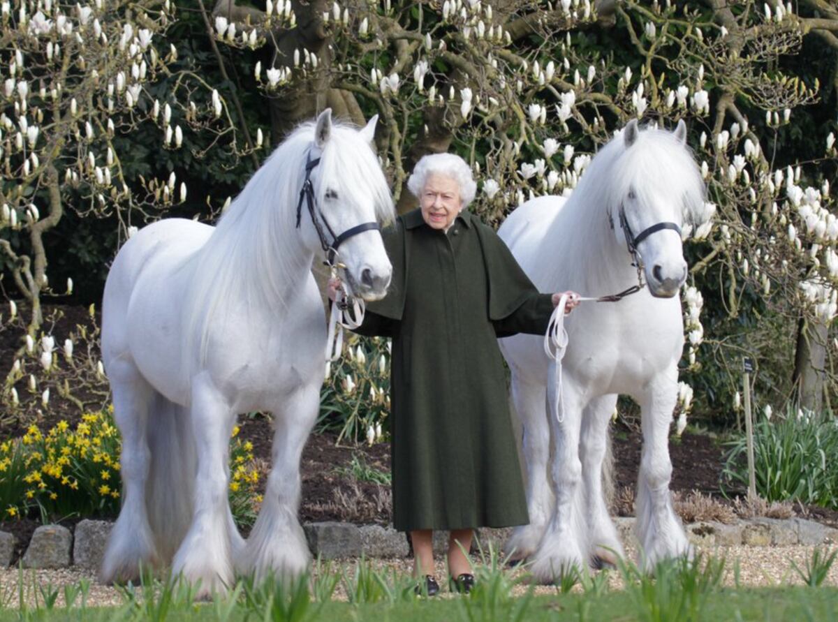 Reina Isabel, le encantan los caballos.