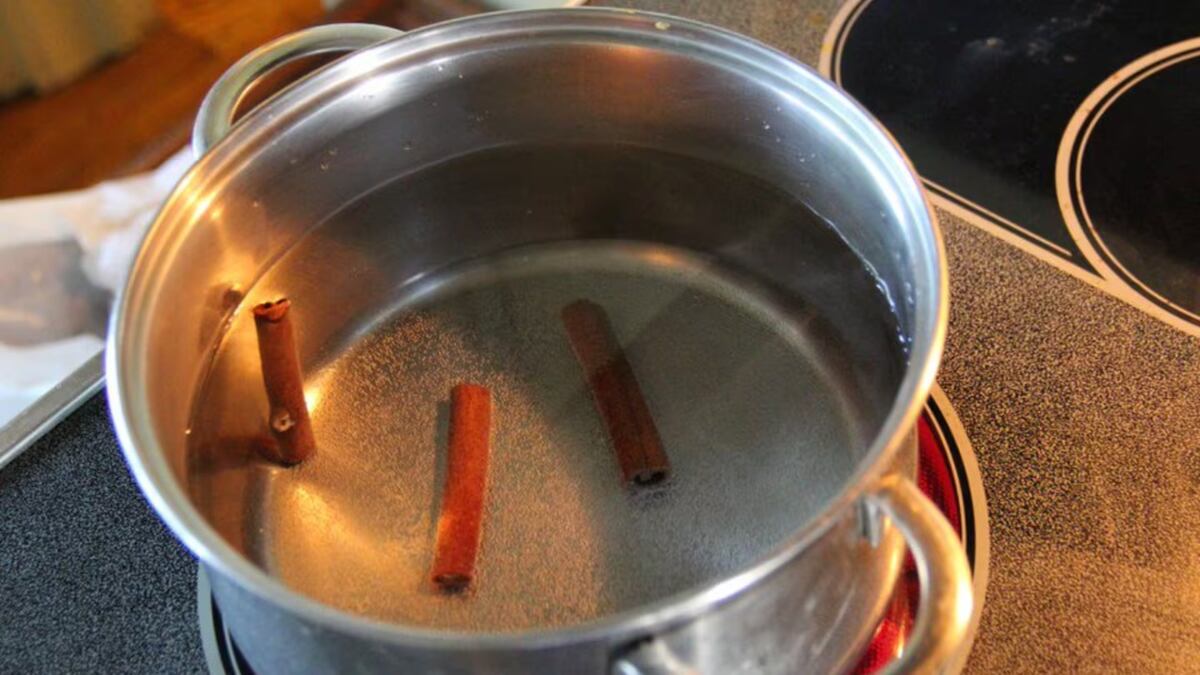 Cómo usar canela hervida para ahuyentar mosquitos en el hogar