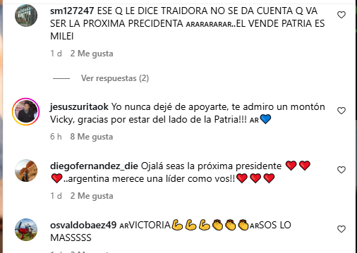 Comentarios en un posteo de la vicepresidenta Victoria Villarruel donde la gente le demuestra su afecto y apoyo. (Captura)