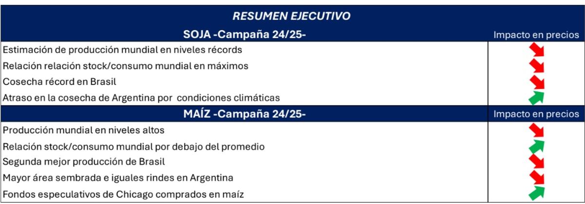 Infome soja maíz