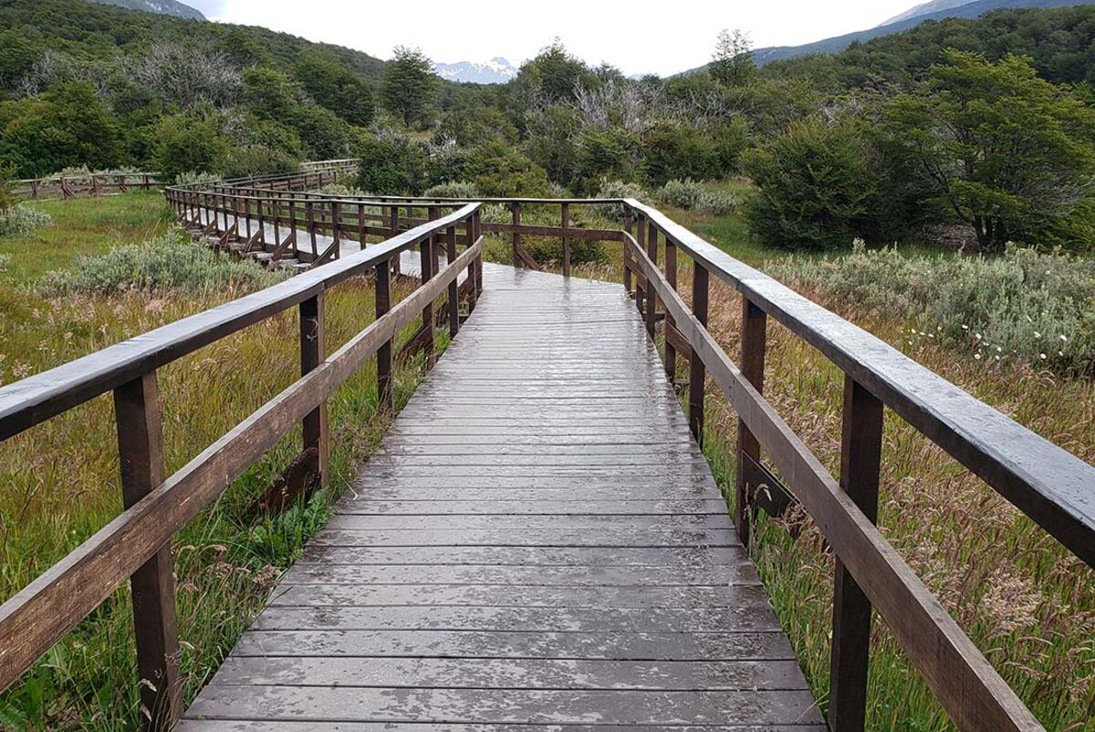 Parque Nacional Tierra del Fuego