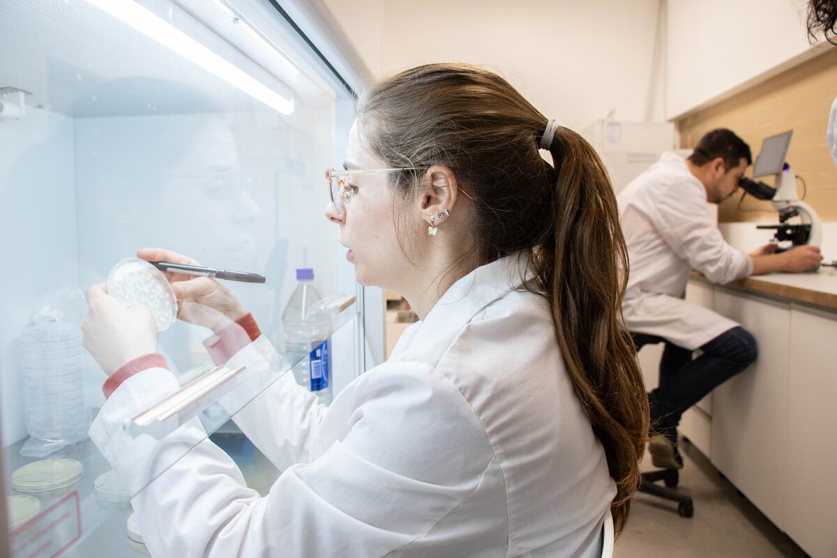 TRANSFORMACIÓN. Ceres Demeter, la agtech de Río Cuarto, trabaja en convertir bioinsumos líquidos en sólidos. (Gentileza Ceres Demeter)