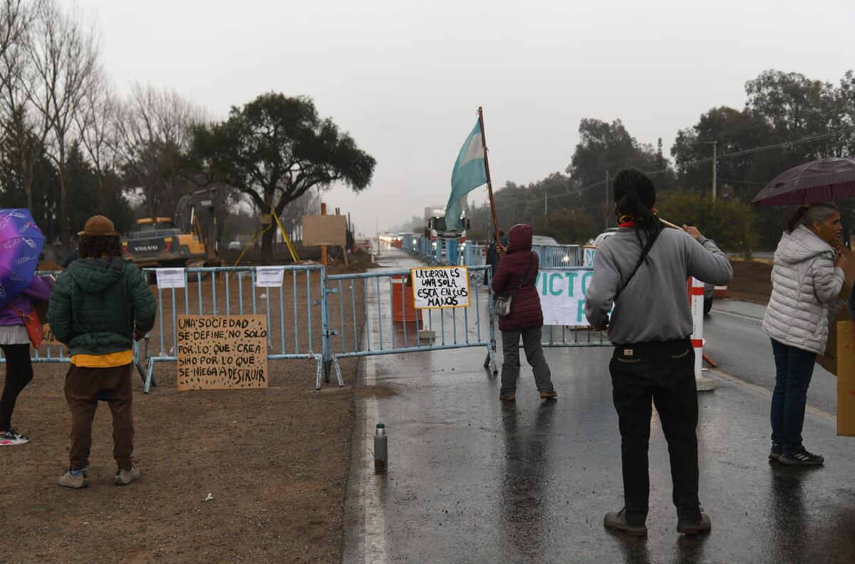 Quebracho de la Avenida Luchesse. Sigue la protesta por el traslado del árbol. (Pedro Castillo / La Voz)