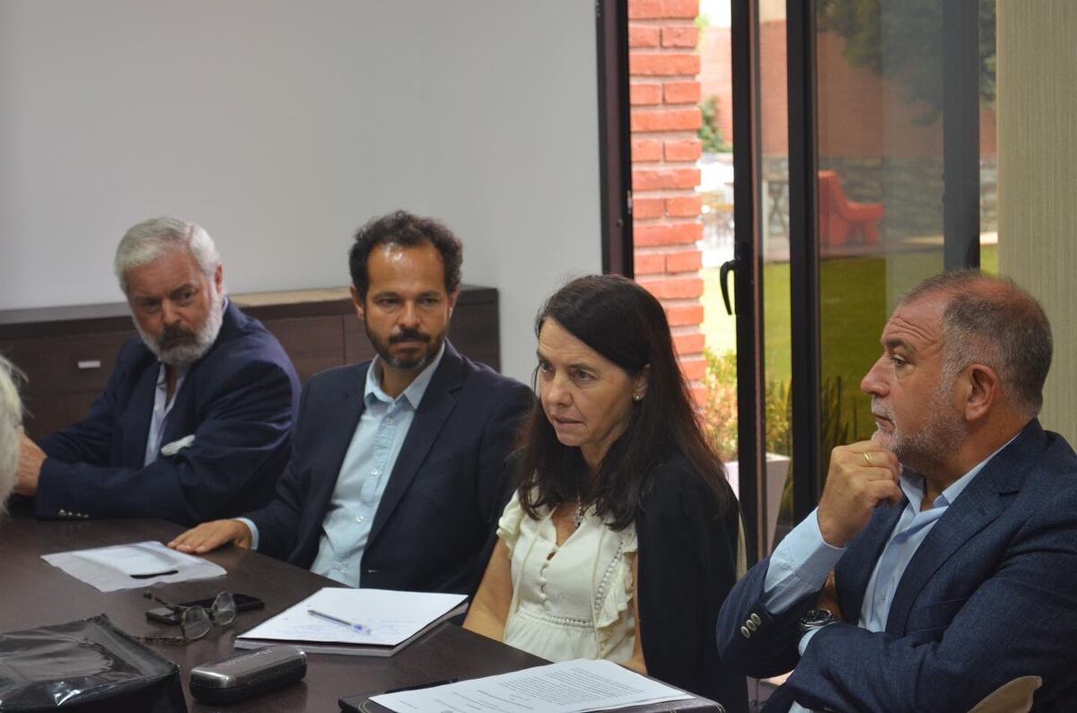 Sebastián García Díaz, y los senadores Carmen Álvarez y Luis Juez. (Twitter)